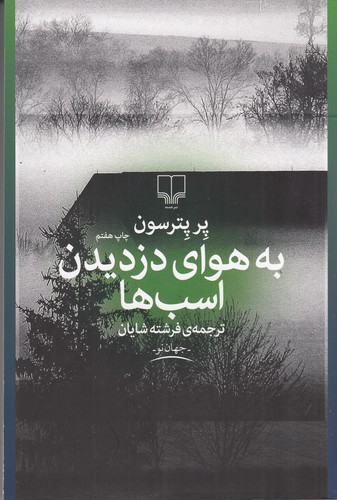 کتاب به هوای دزدیدن اسب ها نشرچشمه کتاب به هوای دزدیدن اسب ها نشرچشمه