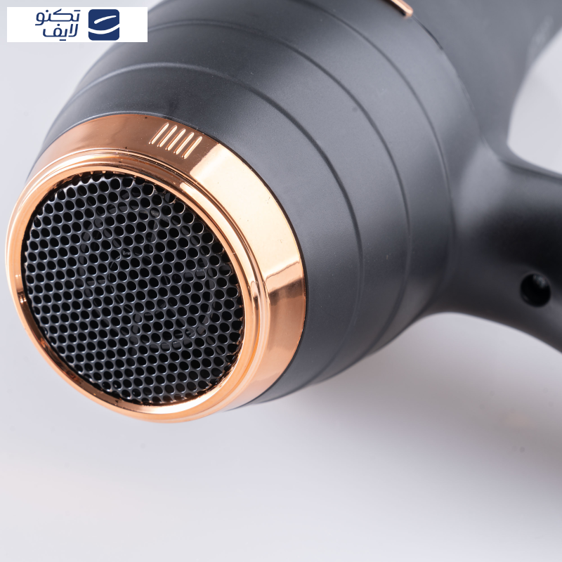 سشوار حرفه ای لایچی مدل L-9010 سشوار حرفه ای لایچی مدل L-9010