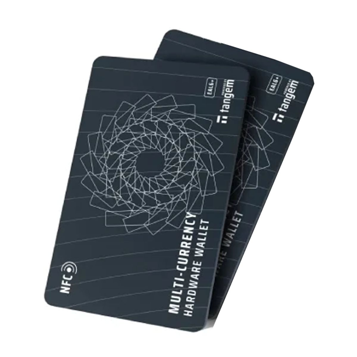 کیف پول سخت افزاری تنجم مدل دو کارته