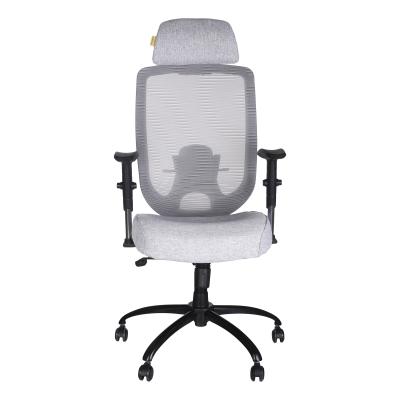 صندلی مدیریتی کادی نو مدل پشت توری نهایی صندلی مدیریتی کادی نو مدل پشت توری نهایی