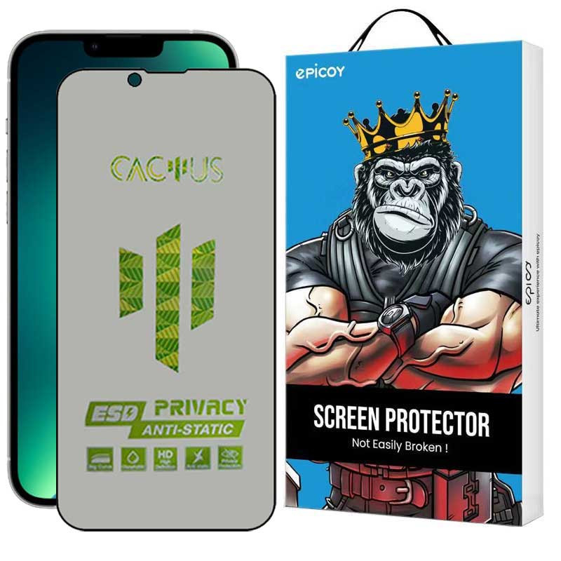 محافظ صفحه نمایش حریم شخصی گوشی اپل iPhone 16e اپیکوی مدل Cactus-ESD-Privacy