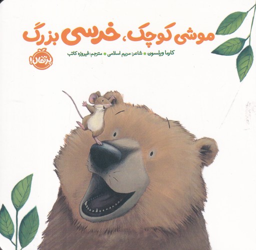 کتاب خرسی و دوستاش- موشی کوچک- خرسی بزرگ نشر پرتقال