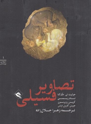 کتاب انتخاب پریان 1- تصاویر فسیلی نشر پریان