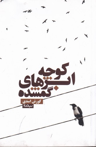 کتاب کوچه ی ابرهای گم شده نشر نیماژ